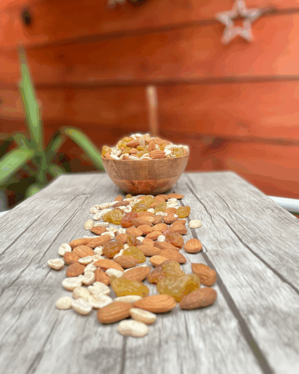 Mix de frutos secos Amondnutchile